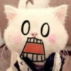 Kitty_cute 10