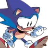 SANIC 11