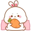 Bunny 20