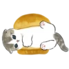 mofu cats 12