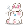 Molly The Rabbit 16