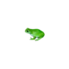 frogs 13