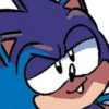 SANIC 12