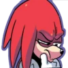 SANIC 13
