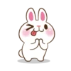 Molly The Rabbit 17