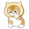 mofu cats 13