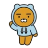 ryankakao 17