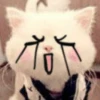 Kitty_cute 13