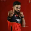 "PLAYBOLD
PASPACHE
Fulhoot
FICORP
imagesday.com