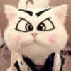 Kitty_cute 14