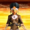 Miraculous Ladybug 14
