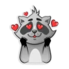 EmotionalRaccoon 14