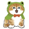mofu cats 14