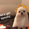 Kawaii_Kawaii 17