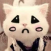 Kitty_cute 15