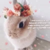 Kawaii_Kawaii 18