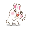 Molly The Rabbit 19