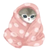mofu cats 15