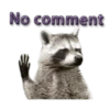 Naughty Raccoon ( 9