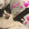 Kawaii_Kawaii 19