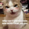 Kawaii_Kawaii 20