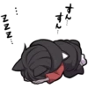 BLACK KITTEN 23