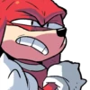 SANIC 17