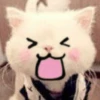 Kitty_cute 17