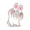 Molly The Rabbit 21
