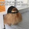 Kawaii_Kawaii 21