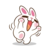 Molly The Rabbit 22