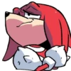 SANIC 21