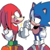 SANIC 22