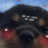 Kawaii_Kawaii 23