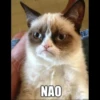 NAO