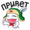 Кролик Mi Rabbit 13