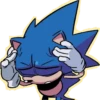 SANIC 23
