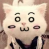Kitty_cute 20