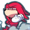SANIC 25