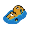 ryankakao 22