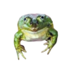 후