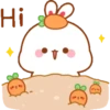 Bunny 24
