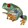3444