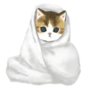 mofu cats 20