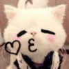 Kitty_cute 22