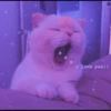 MEOW MEOW 27