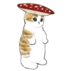 mofu cats 21