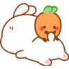 Bunny 25