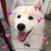 Kawaii_Kawaii 27