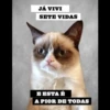 JÁ VIVI
SETE VIDAS
E ESTA É
A PIOR DE TODAS